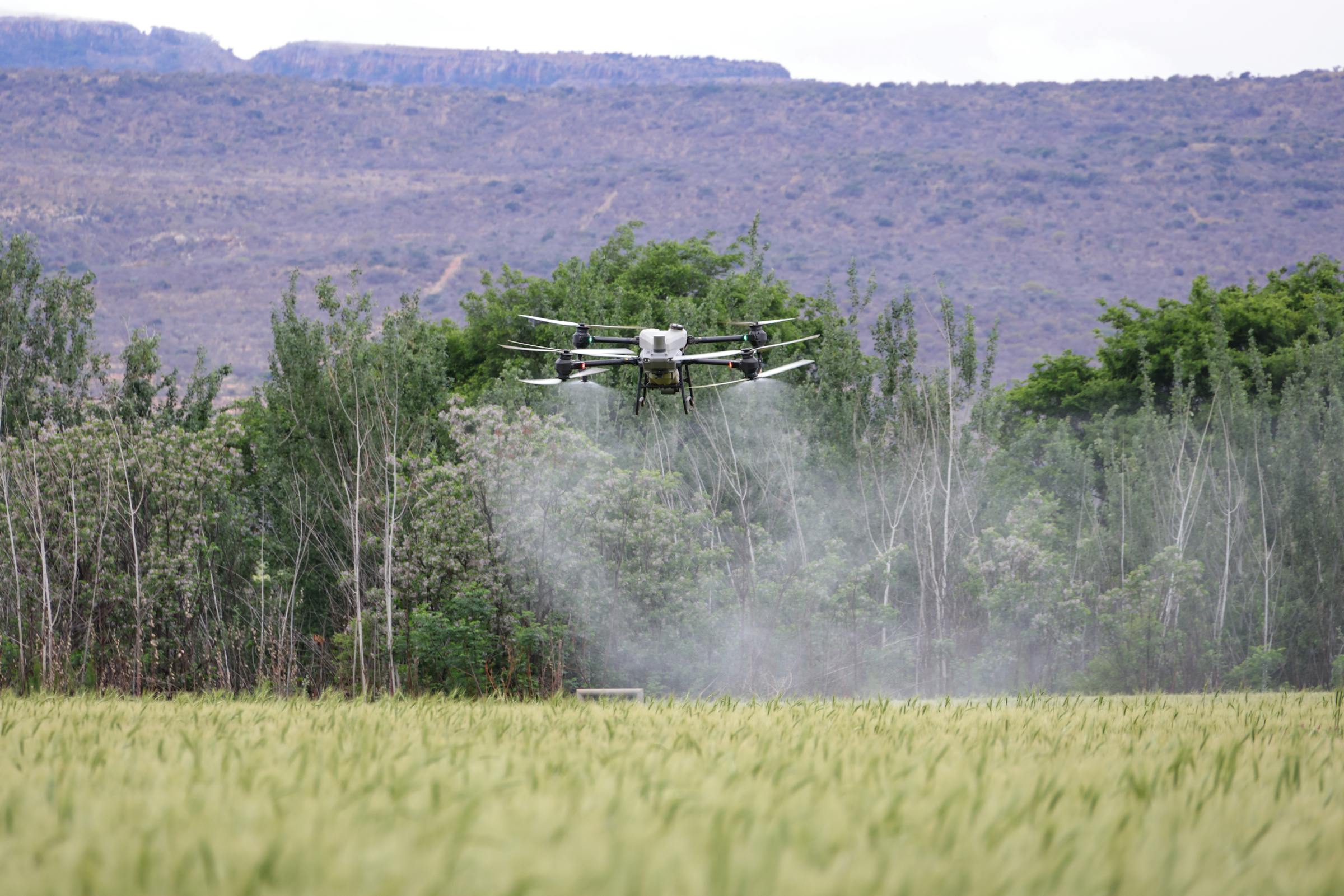 Drone agrícola pulverizando lavoura
